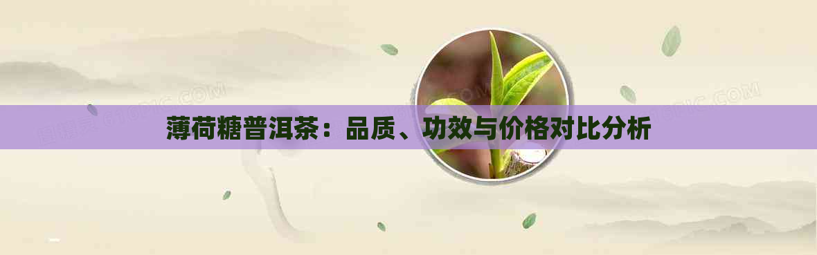 薄荷糖普洱茶：品质、功效与价格对比分析