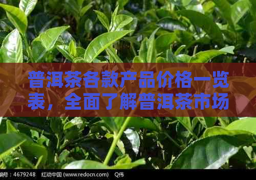 普洱茶各款产品价格一览表，全面了解普洱茶市场行情