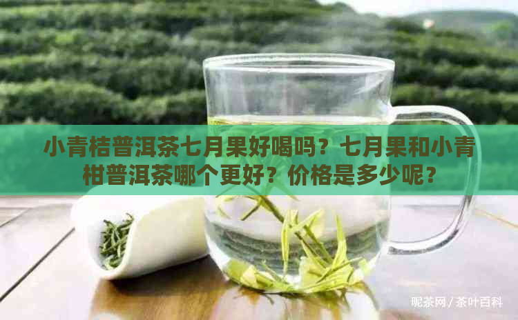 小青桔普洱茶七月果好喝吗？七月果和小青柑普洱茶哪个更好？价格是多少呢？