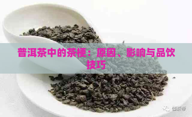 普洱茶中的茶梗：原因、影响与品饮技巧