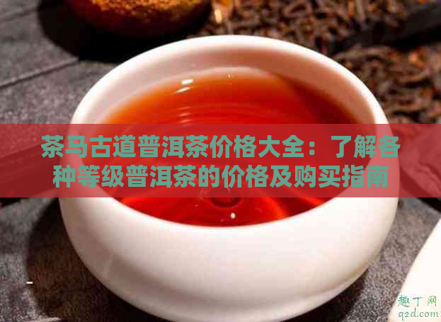 茶马古道普洱茶价格大全：了解各种等级普洱茶的价格及购买指南