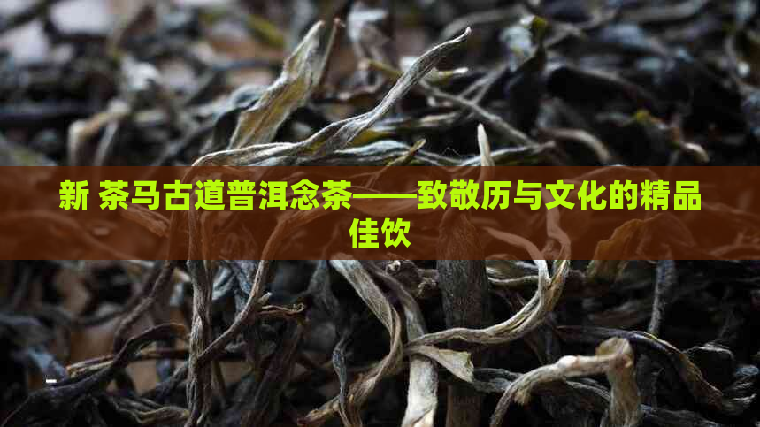 新 茶马古道普洱念茶——致敬历与文化的精品佳饮