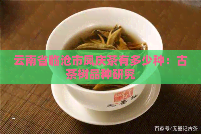 云南省临沧市凤庆茶有多少种：古茶树品种研究