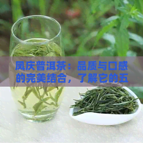 凤庆普洱茶：品质与口感的完美结合，了解它的五大特点