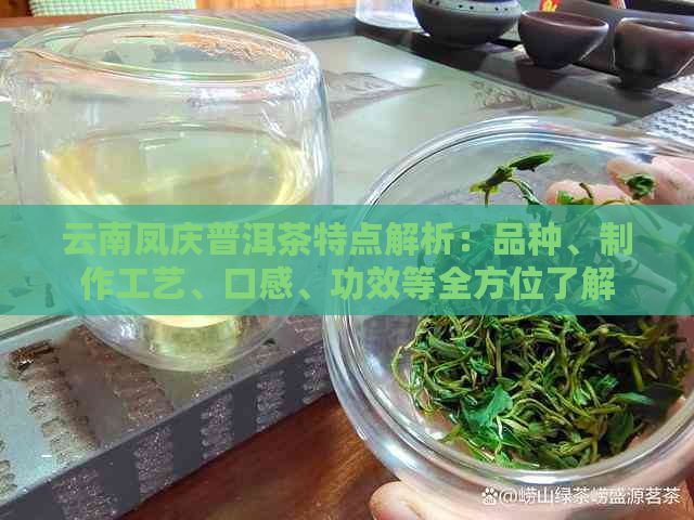 云南凤庆普洱茶特点解析：品种、制作工艺、口感、功效等全方位了解