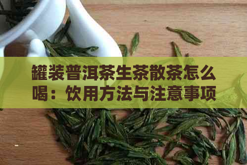 罐装普洱茶生茶散茶怎么喝：饮用方法与注意事项