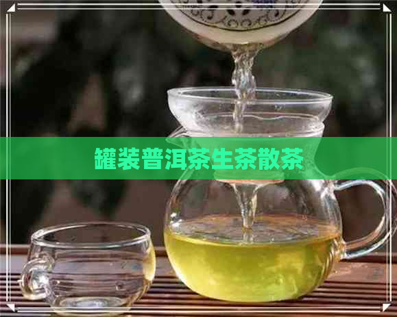 罐装普洱茶生茶散茶