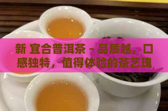 新 宜合普洱茶 – 品质越，口感独特，值得体验的茶艺瑰宝