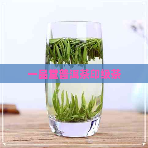 一品堂普洱茶印级茶