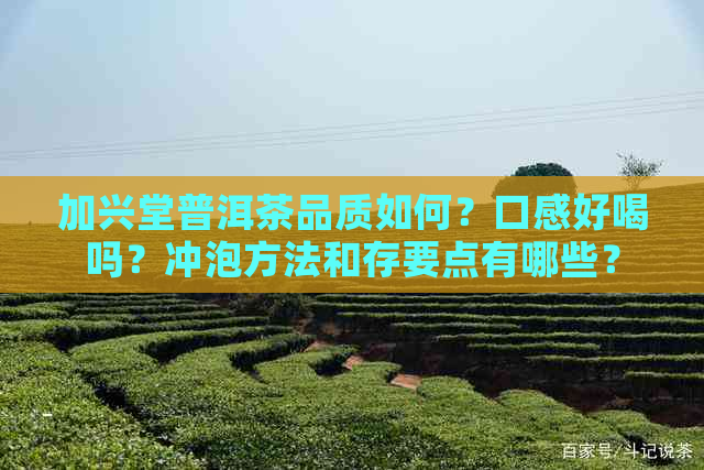 加兴堂普洱茶品质如何？口感好喝吗？冲泡方法和存要点有哪些？