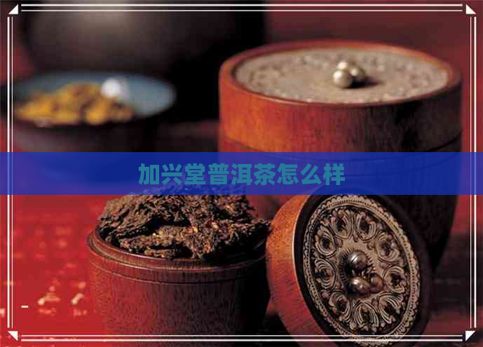 加兴堂普洱茶怎么样