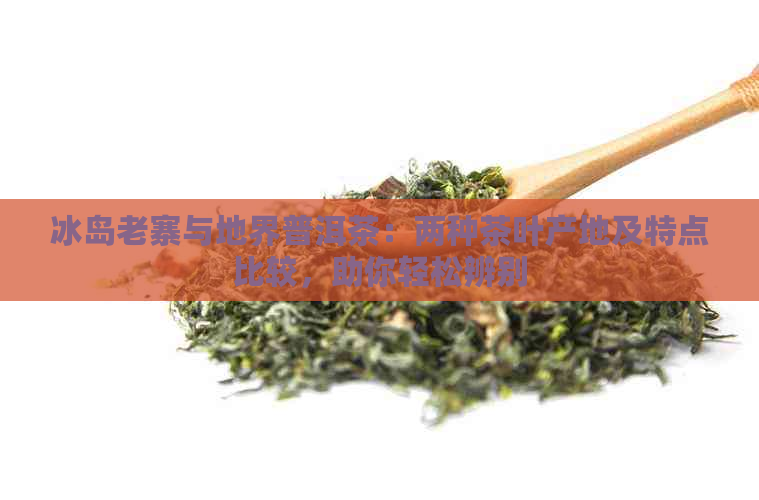 冰岛老寨与地界普洱茶：两种茶叶产地及特点比较，助你轻松辨别