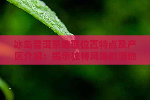 冰岛普洱茶地理位置特点及产区介绍：揭示独特风味的源地