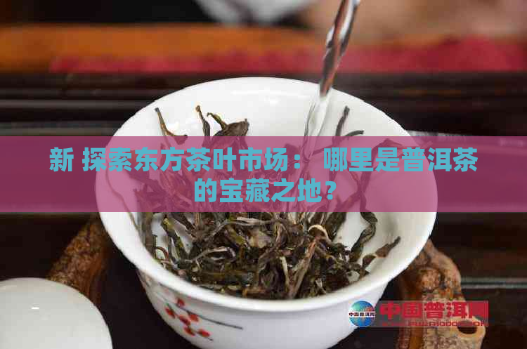 新 探索东方茶叶市场： 哪里是普洱茶的宝藏之地？