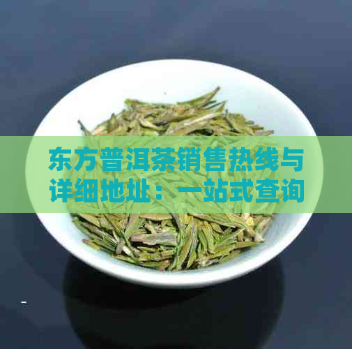 东方普洱茶销售热线与详细地址：一站式查询解决您的购物需求