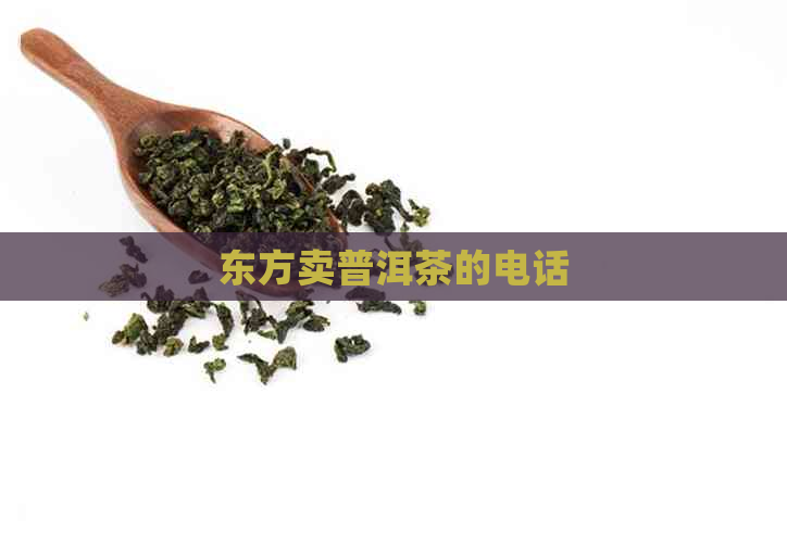 东方卖普洱茶的电话