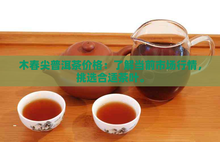 木春尖普洱茶价格：了解当前市场行情，挑选合适茶叶。