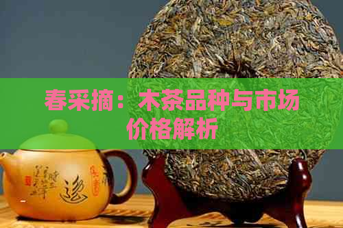 春采摘：木茶品种与市场价格解析