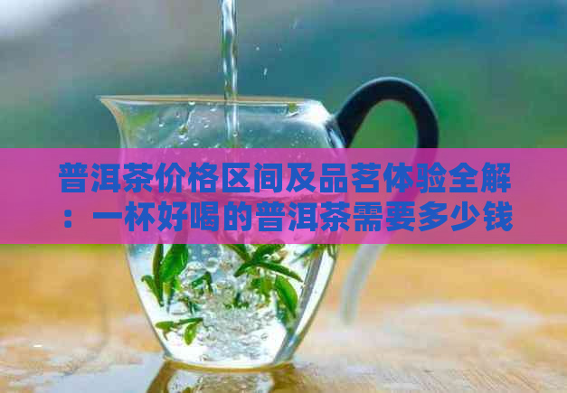 普洱茶价格区间及品茗体验全解：一杯好喝的普洱茶需要多少钱？