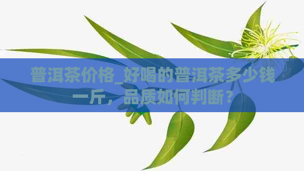 普洱茶价格_好喝的普洱茶多少钱一斤，品质如何判断？