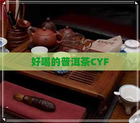 好喝的普洱茶CYF