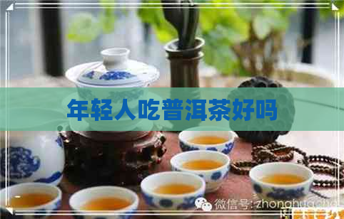 年轻人吃普洱茶好吗