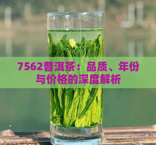 7562普洱茶：品质、年份与价格的深度解析