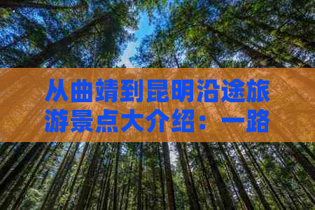 从曲靖到昆明沿途旅游景点大介绍：一路美景尽收眼底！