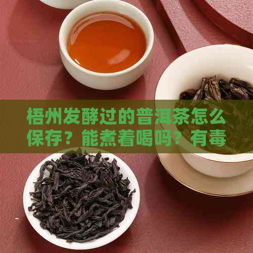 梧州发酵过的普洱茶怎么保存？能煮着喝吗？有吗？有哪些种类？