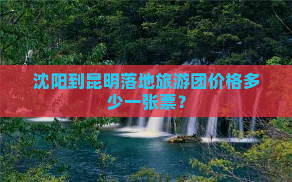 沈阳到昆明落地旅游团价格多少一张票？