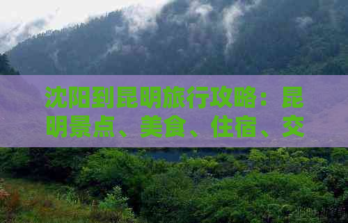 沈阳到昆明旅行攻略：昆明景点、美食、住宿、交通全解析