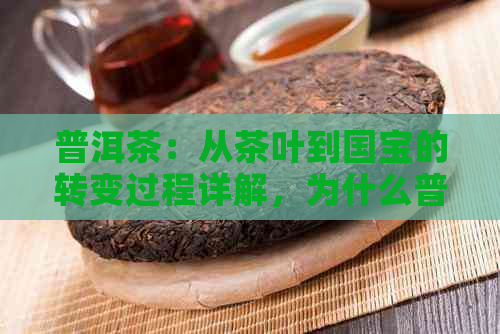 普洱茶：从茶叶到国宝的转变过程详解，为什么普洱茶能成为国宝？