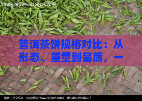 普洱茶饼规格对比：从形态、重量到品质，一文解析各类区别