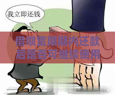 借呗宽限期内还款后是否可继续使用：安全性与合规性分析