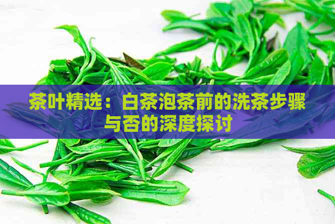 茶叶精选：白茶泡茶前的洗茶步骤与否的深度探讨