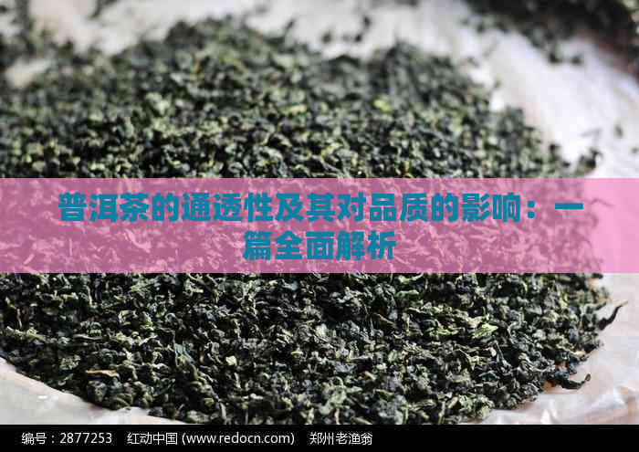 普洱茶的通透性及其对品质的影响：一篇全面解析