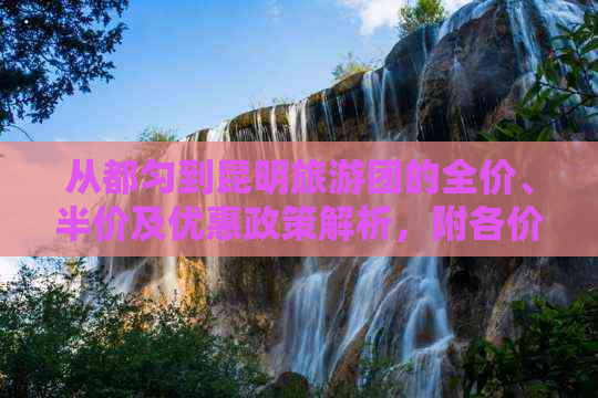 从都匀到昆明旅游团的全价、半价及优惠政策解析，附各价位门票价格表