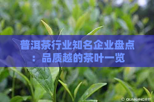 普洱茶行业知名企业盘点：品质越的茶叶一览