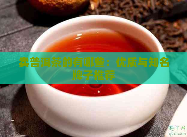 卖普洱茶的有哪些：优质与知名牌子推荐