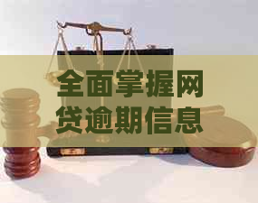 全面掌握网贷逾期信息查询方法，解决用户搜索需求的全新指南