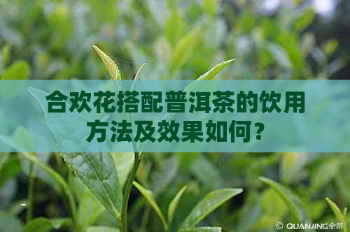 合欢花搭配普洱茶的饮用方法及效果如何？