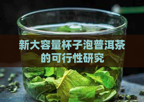 新大容量杯子泡普洱茶的可行性研究