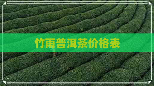 竹雨普洱茶价格表