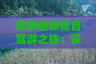 昆明至新疆自驾游之旅：探险喀纳斯湖、品尝新疆美食、领略天山风光