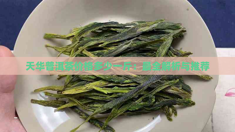 天华普洱茶价格多少一斤：最全解析与推荐