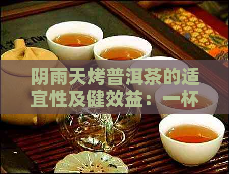 阴雨天烤普洱茶的适宜性及健效益：一杯茶的健全解析