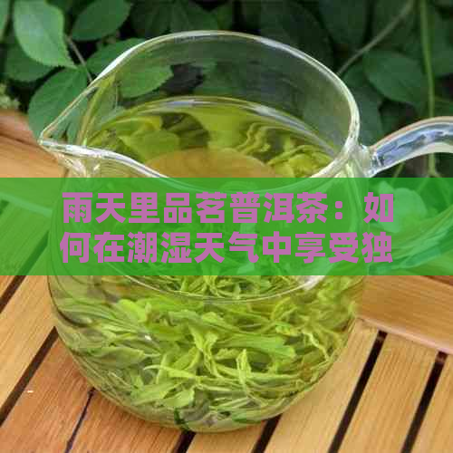 雨天里品茗普洱茶：如何在潮湿天气中享受独特的茶韵与养生效果？