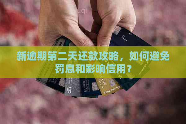 新逾期第二天还款攻略，如何避免罚息和影响信用？