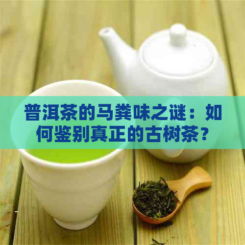 普洱茶的马粪味之谜：如何鉴别真正的古树茶？