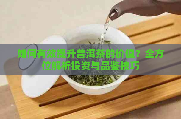 如何有效提升普洱茶的价值？全方位解析投资与品鉴技巧